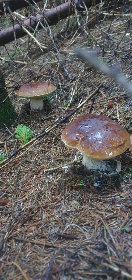 Baita Giola Villa Marter Eksteriør bilde